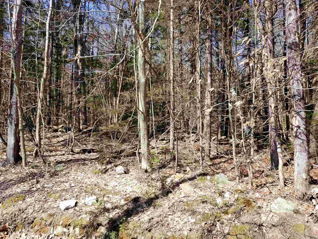 0 Howard Hill Road Andover VT 05143