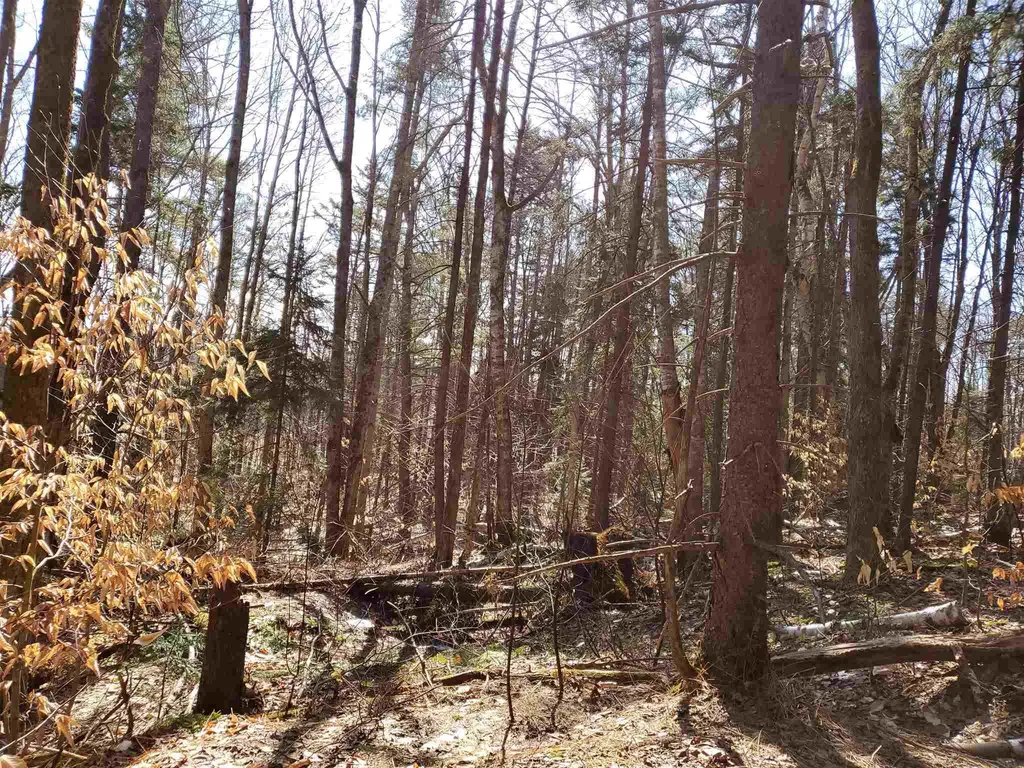 0 Howard Hill Road Andover VT 05143