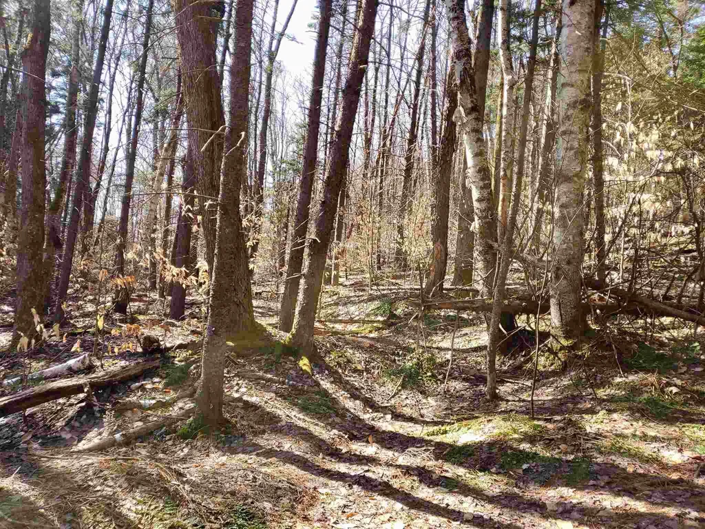 0 Howard Hill Road Andover VT 05143