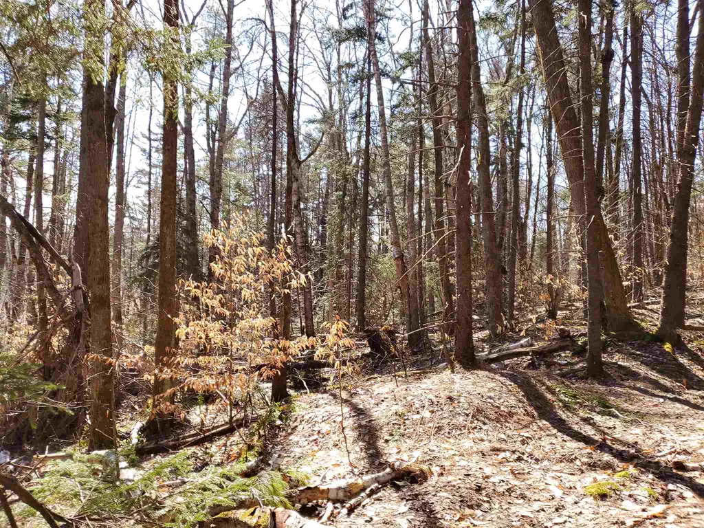 0 Howard Hill Road Andover VT 05143