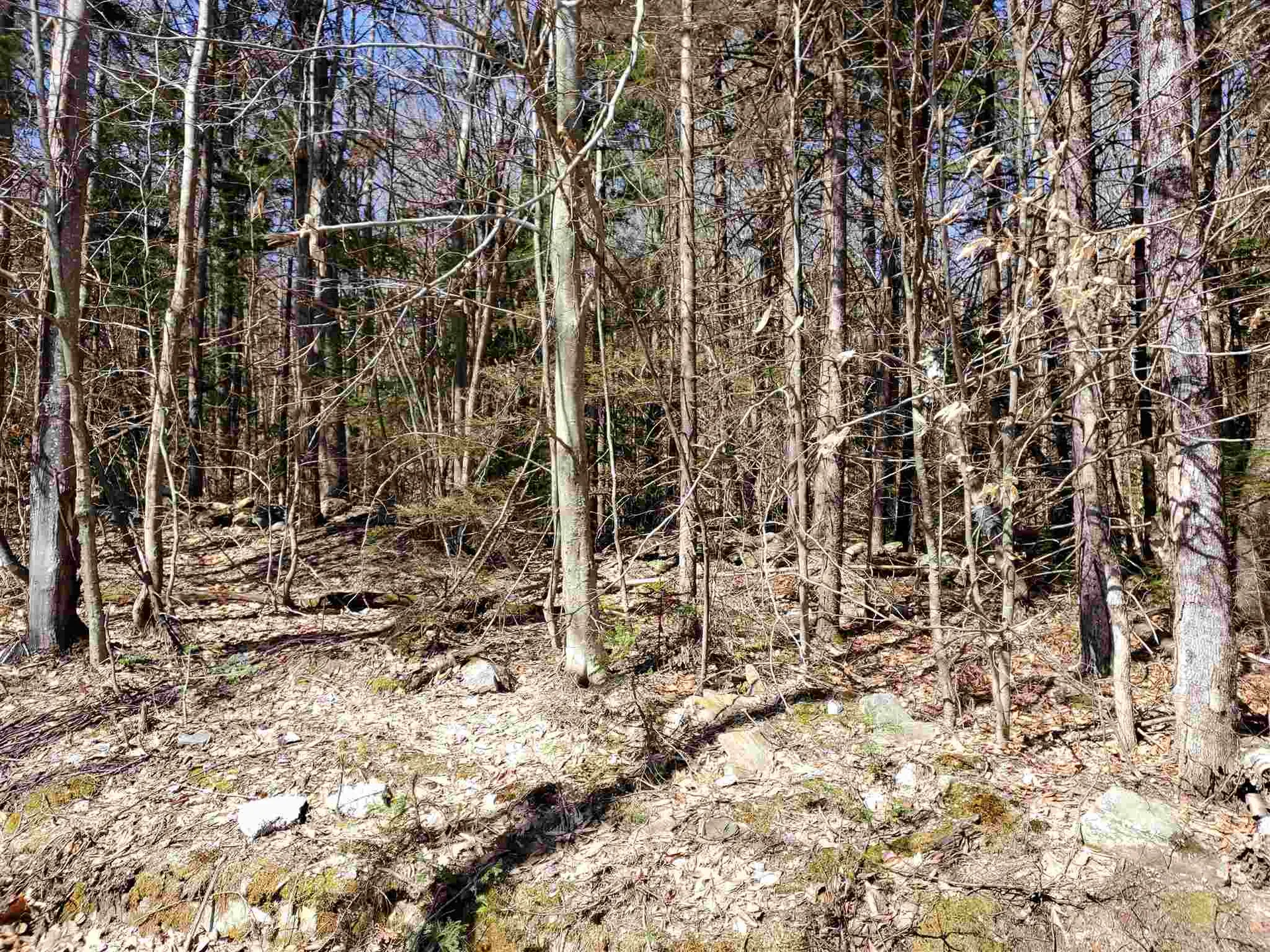 0 Howard Hill Road Andover VT 05143