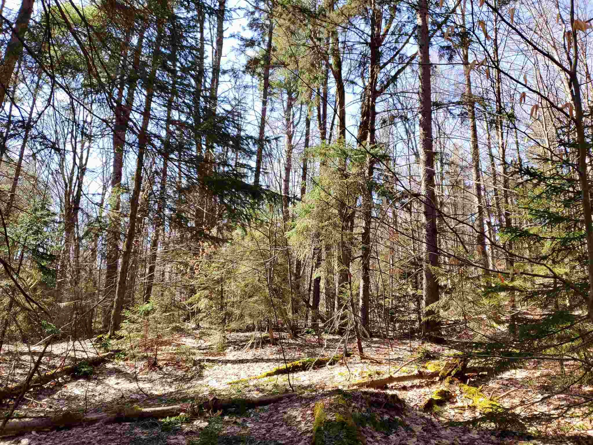 0 Howard Hill Road Andover VT 05143
