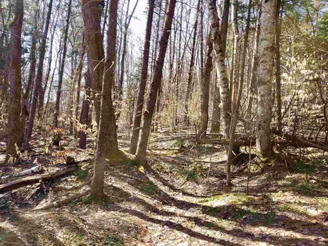 0 Howard Hill Road Andover VT 05143