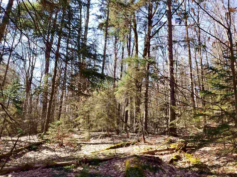 0 Howard Hill Road Andover VT 05143