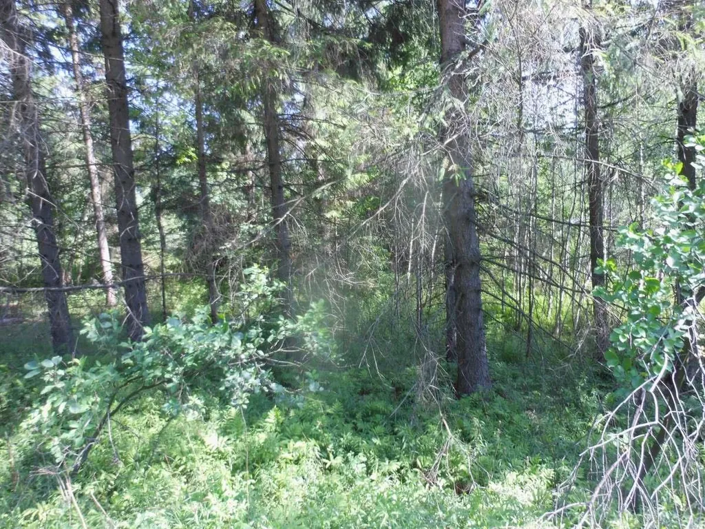 Lot N Vt Route 100 Eden VT 05653