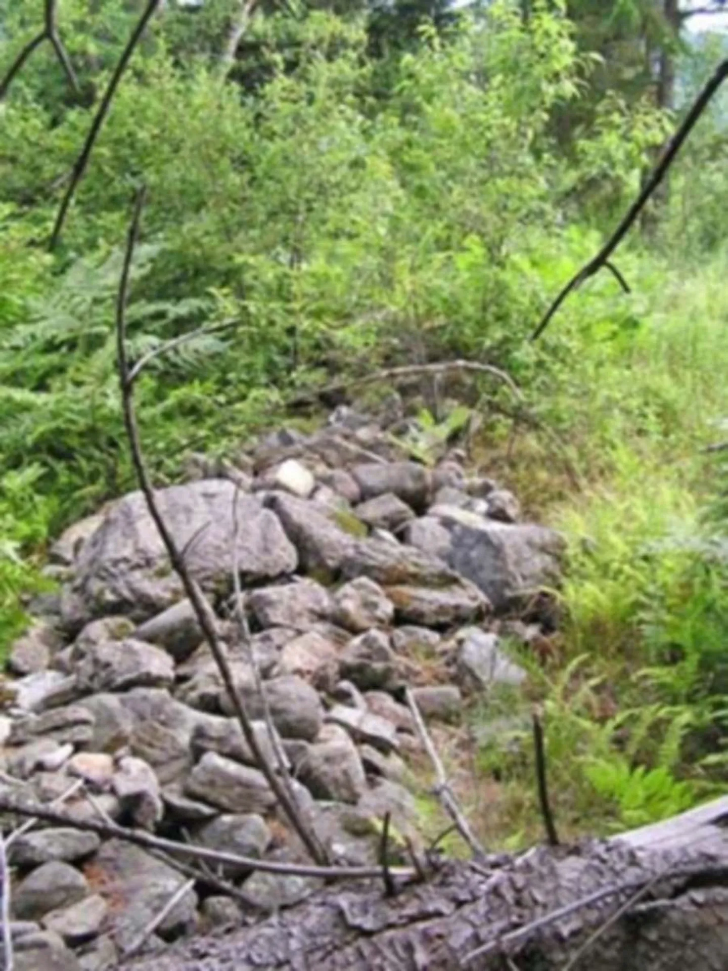 Lot N Vt Route 100 Eden VT 05653