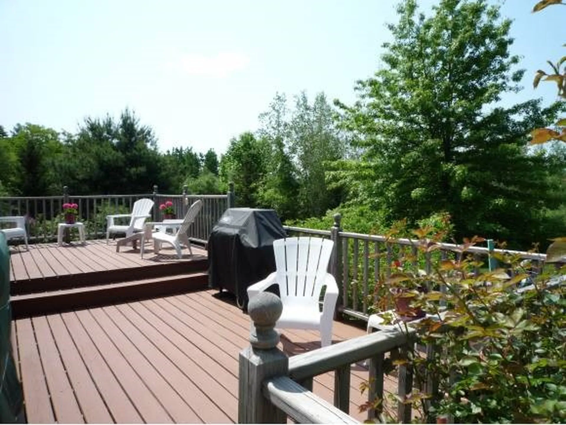 18 Brewster Heights Wolfeboro NH 03894