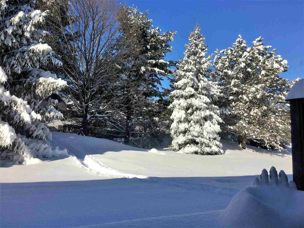 99 Heather Drive Hartford VT 05001