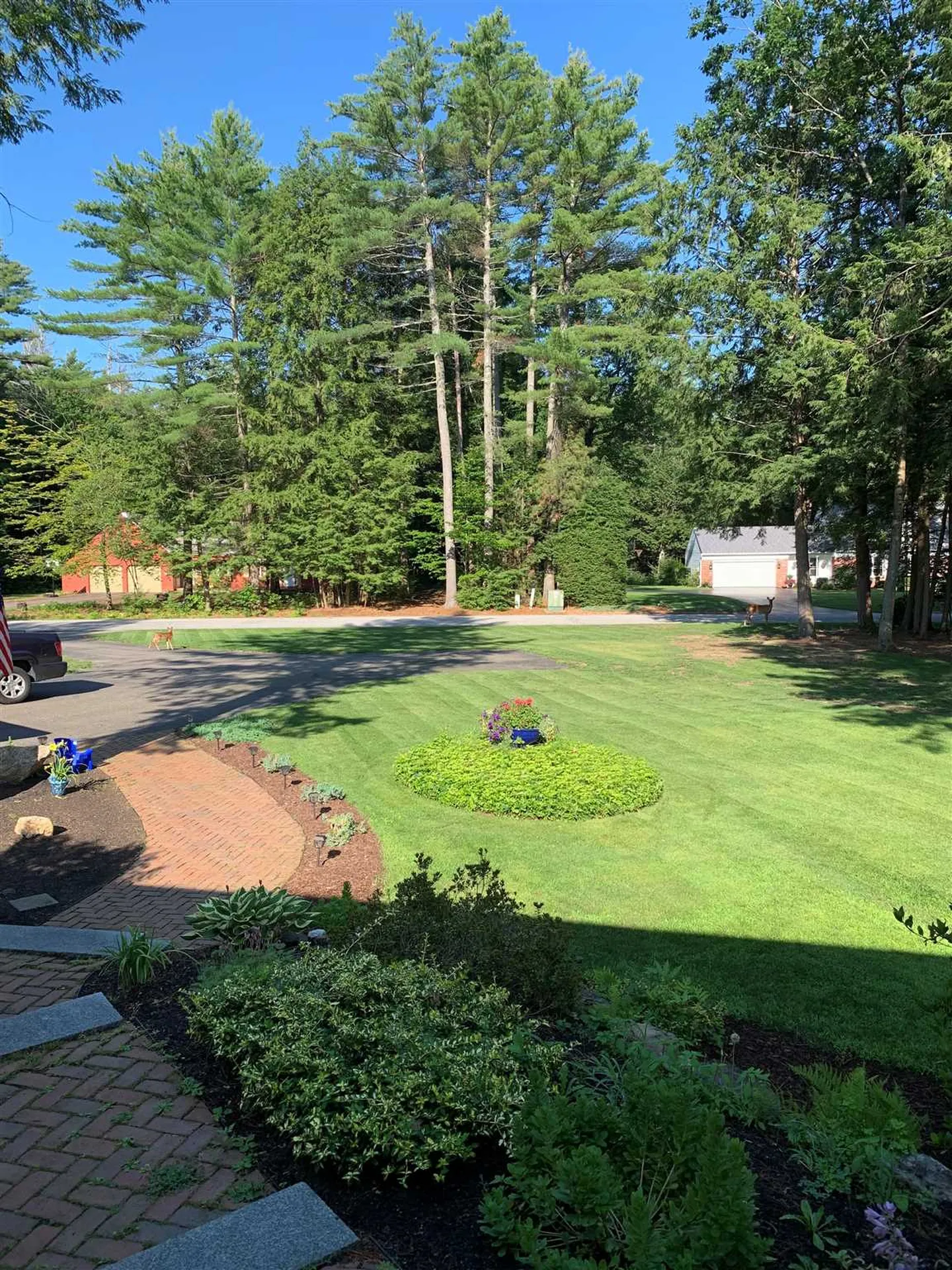 44 Sprucewood Drive Gilford NH 03249