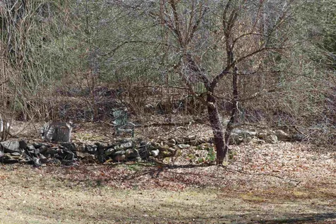 455 Hill Road Brookline VT 05345