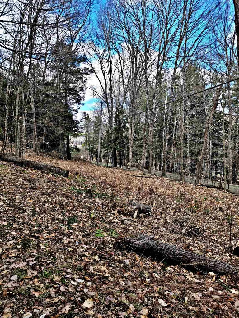 66 Turnpike Road Strafford VT 05070