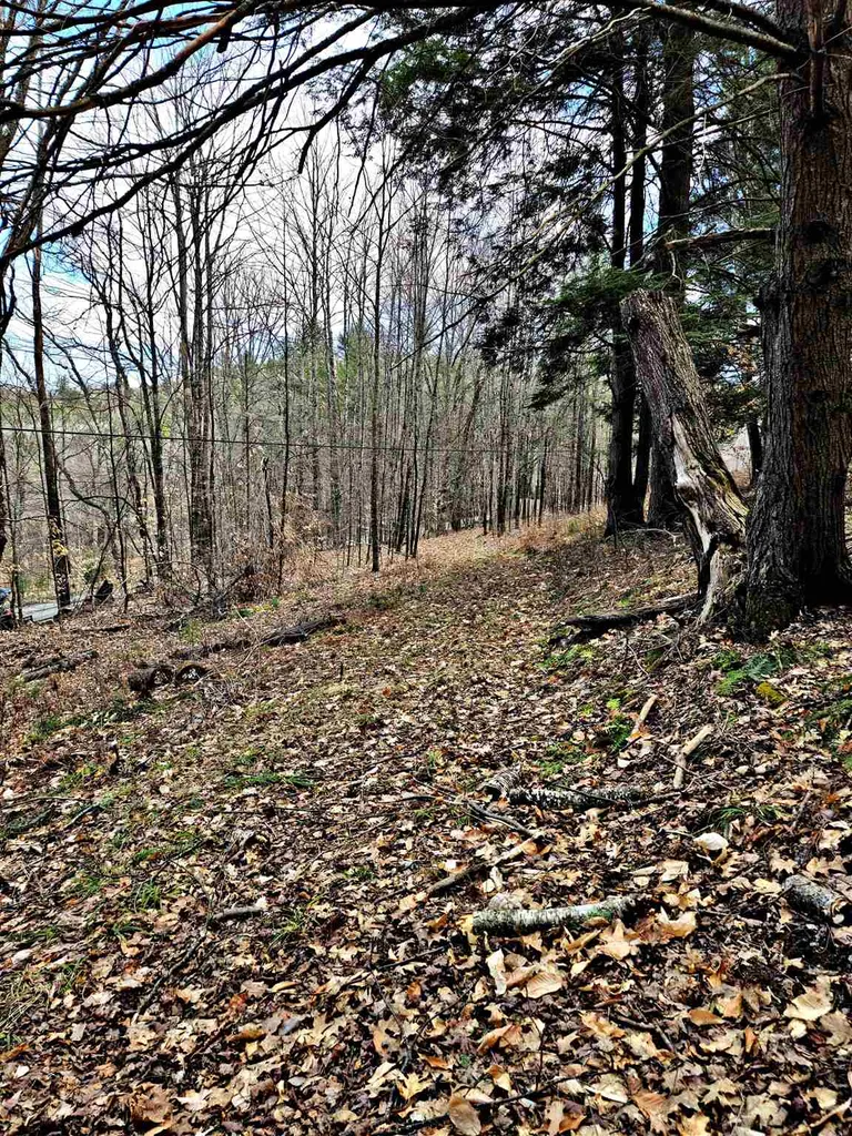 66 Turnpike Road Strafford VT 05070