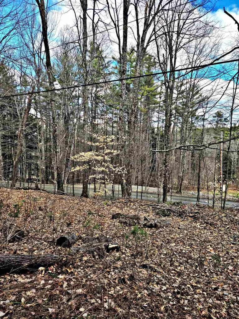 66 Turnpike Road Strafford VT 05070