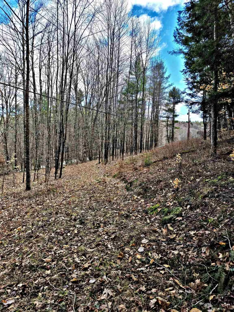 66 Turnpike Road Strafford VT 05070