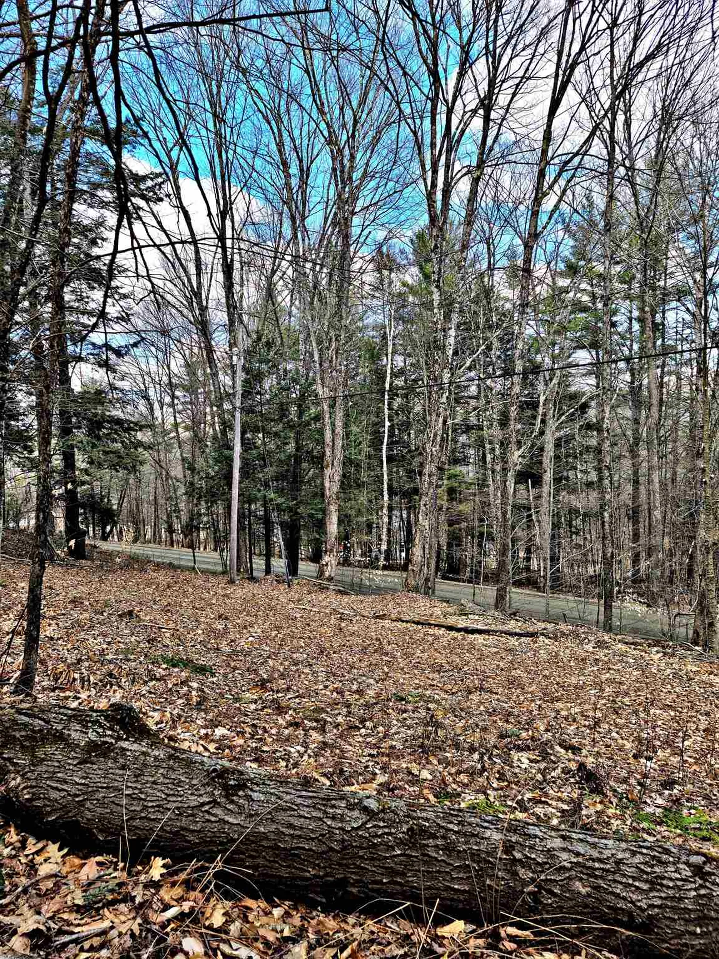 66 Turnpike Road Strafford VT 05070