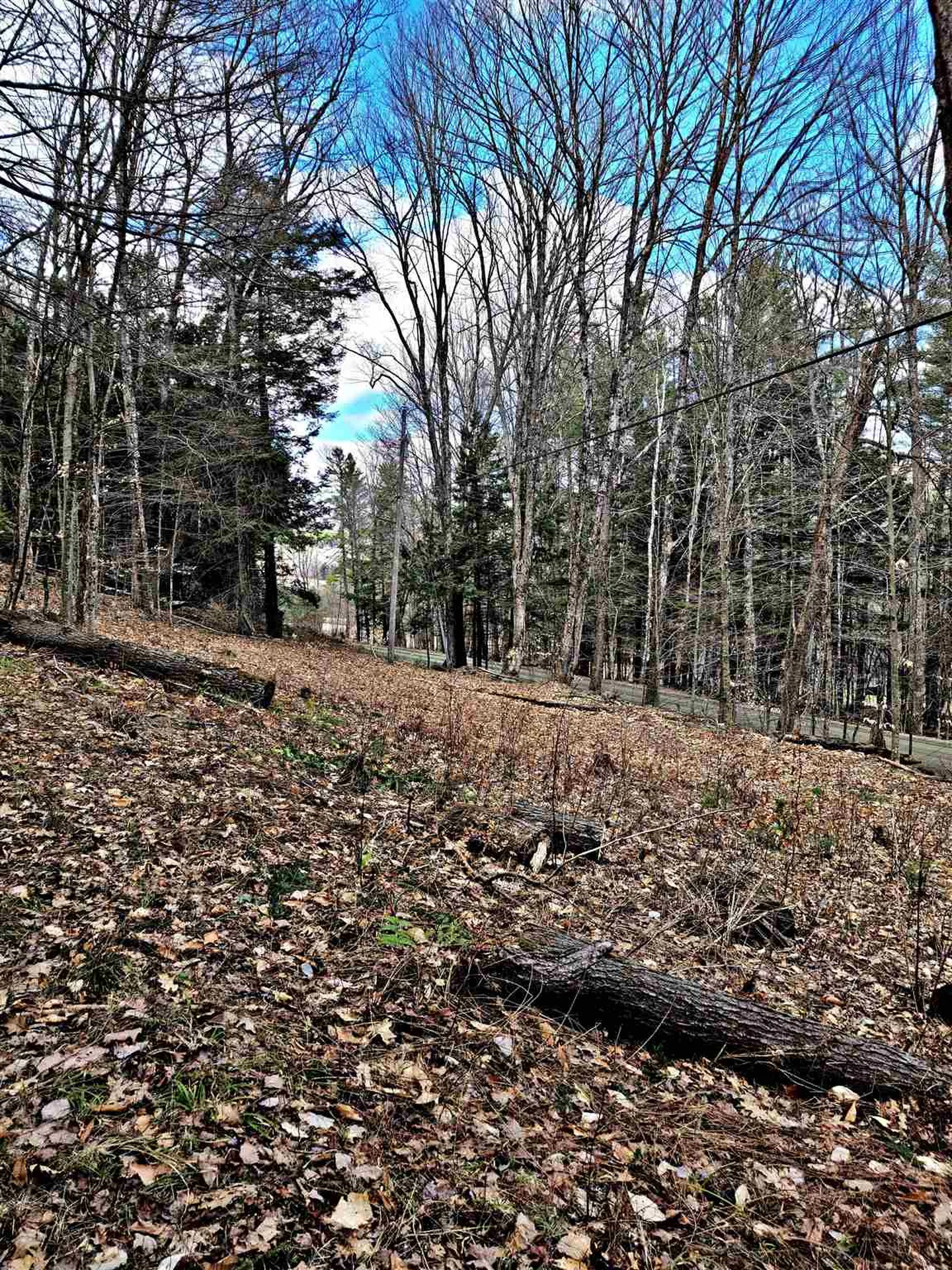 66 Turnpike Road Strafford VT 05070