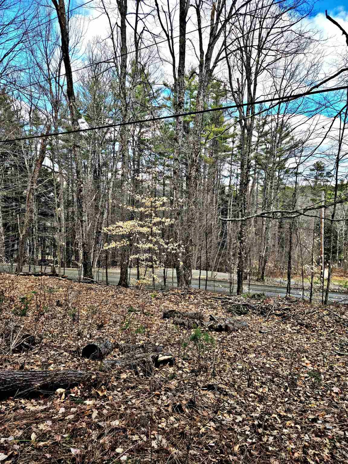 66 Turnpike Road Strafford VT 05070