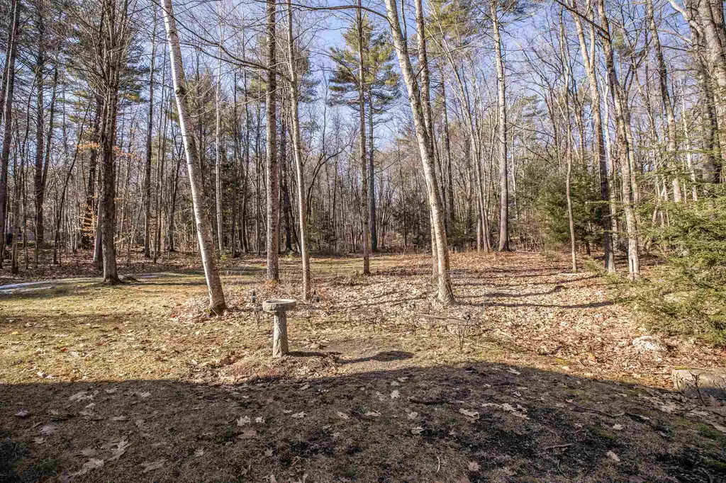 16 Winterberry Drive Amherst NH 03031