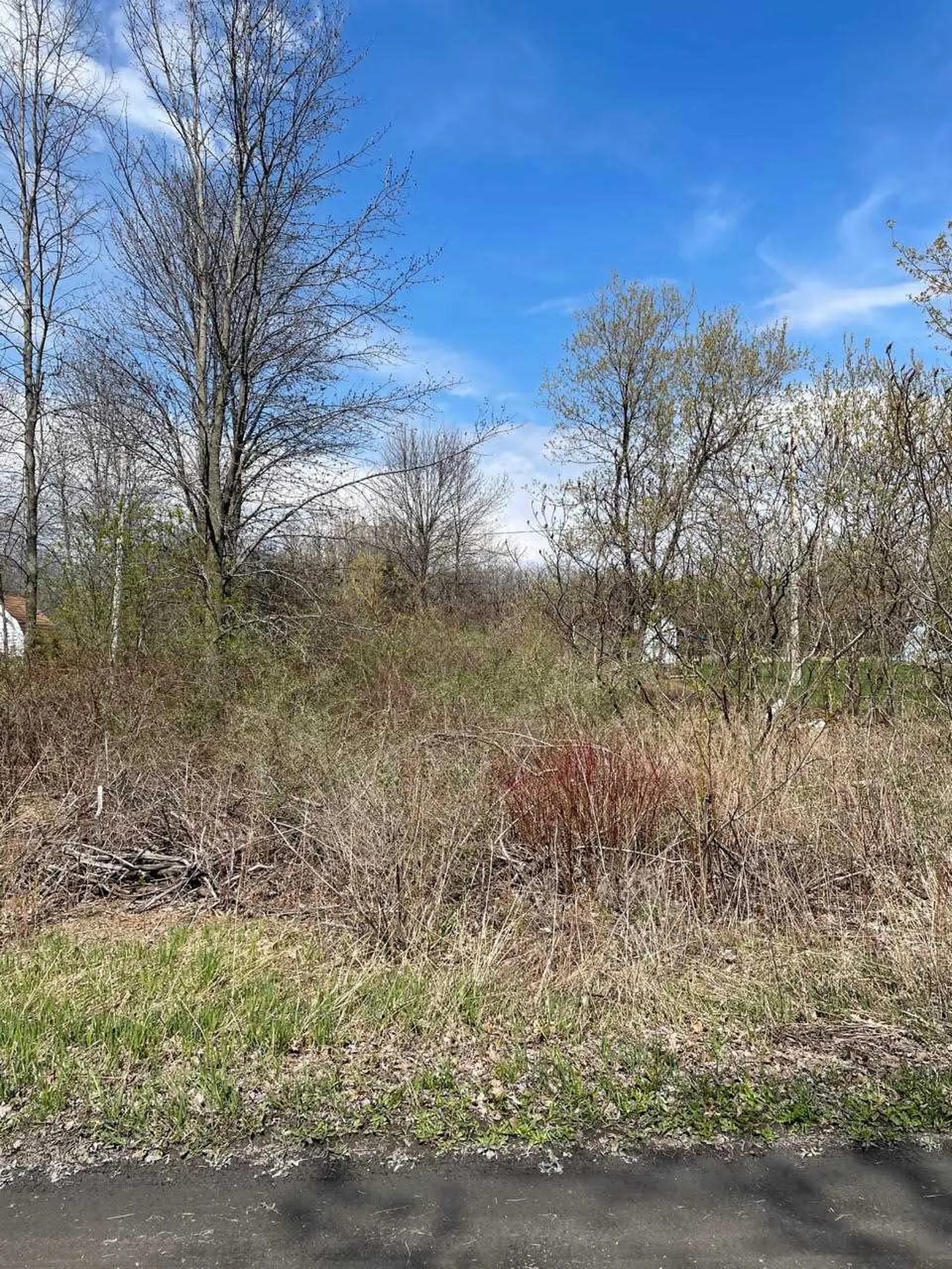 10 Mountain View Grand Isle VT 05458