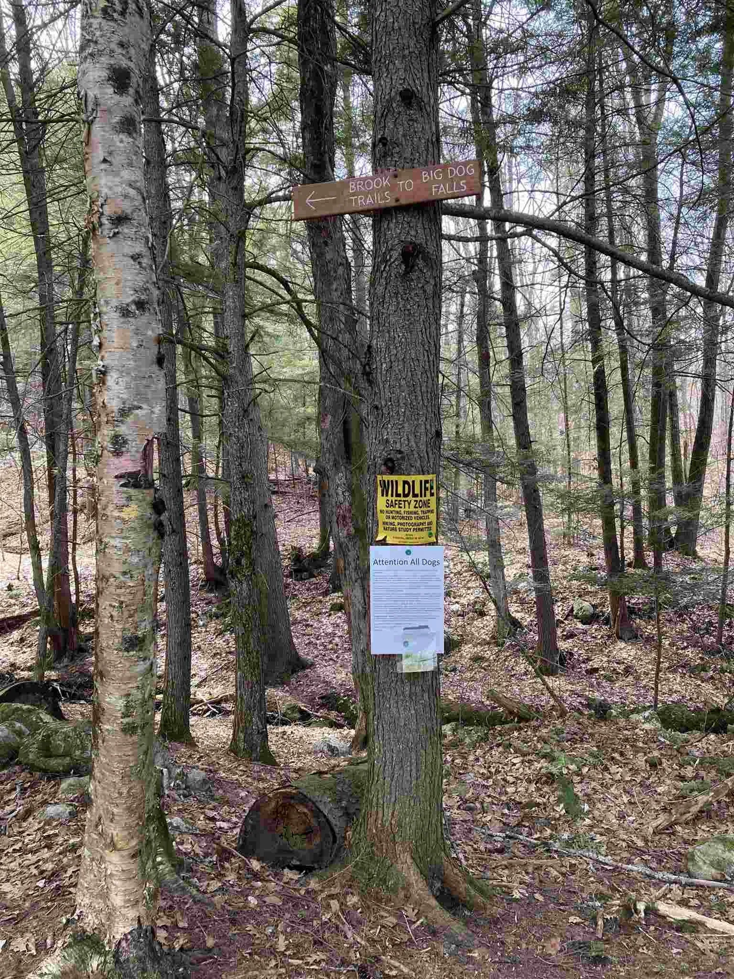 14 Marsten Lane Enfield NH 03748