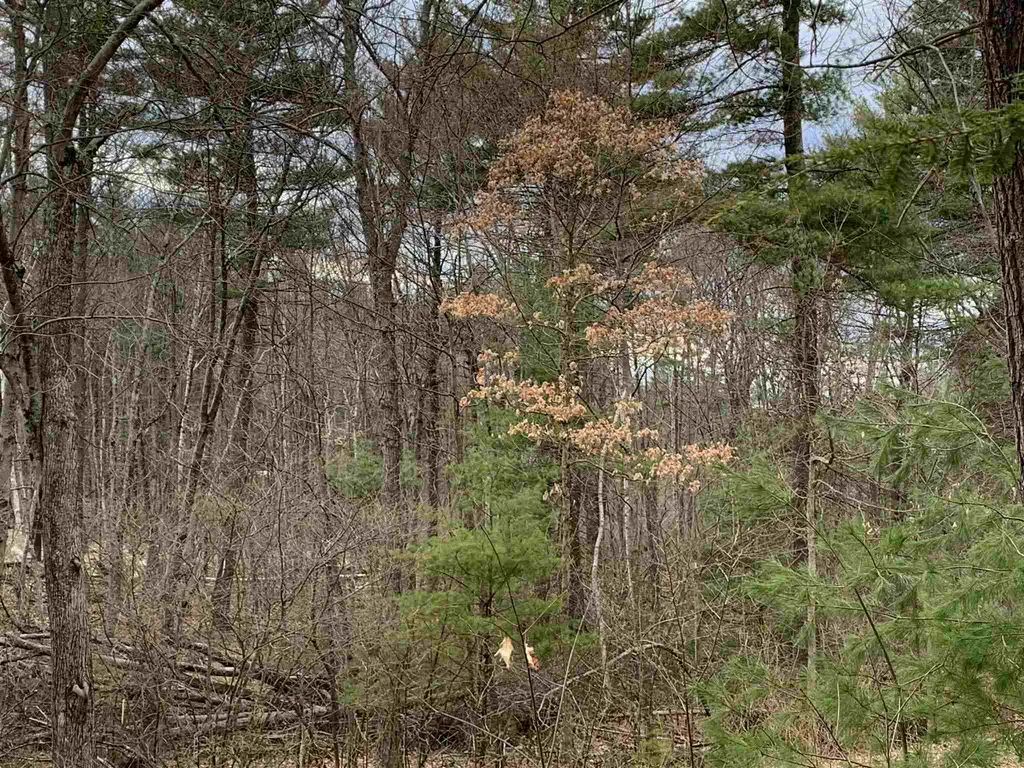 19 Bancroft Road Londonderry NH 03053