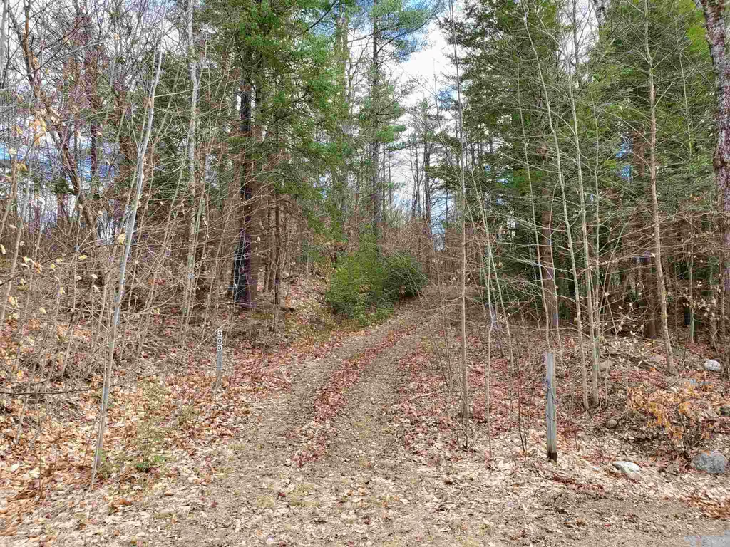 303 Gilsum Mine Road Alstead NH 03602