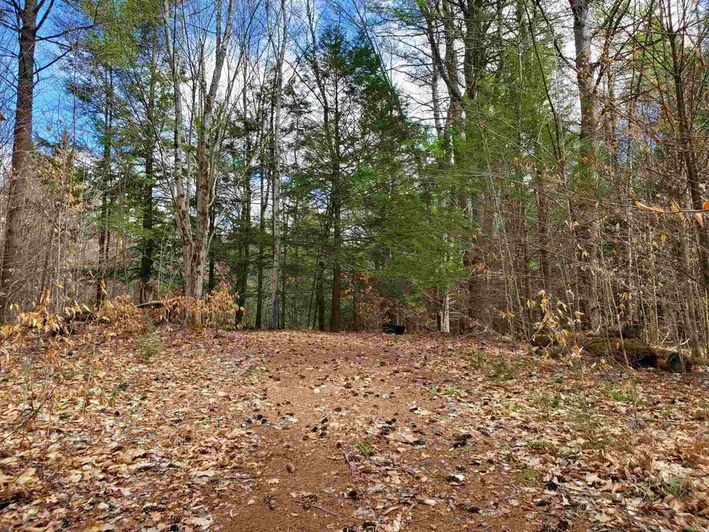 303 Gilsum Mine Road Alstead NH 03602
