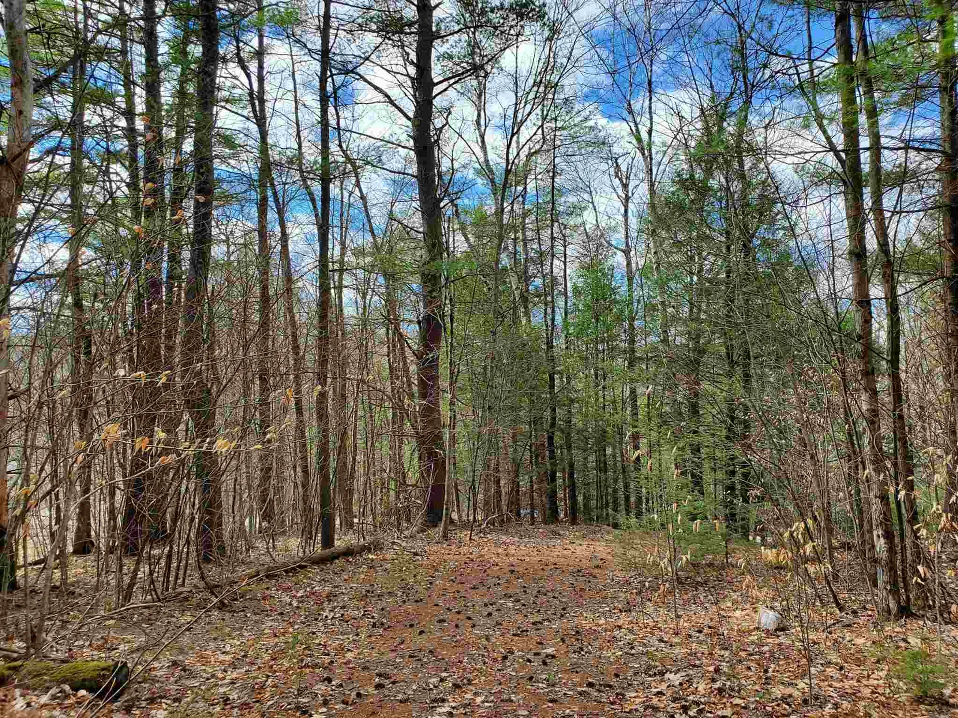 303 Gilsum Mine Road Alstead NH 03602