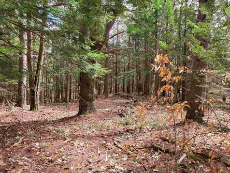 303 Gilsum Mine Road Alstead NH 03602