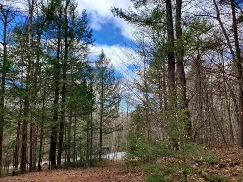 303 Gilsum Mine Road Alstead NH 03602