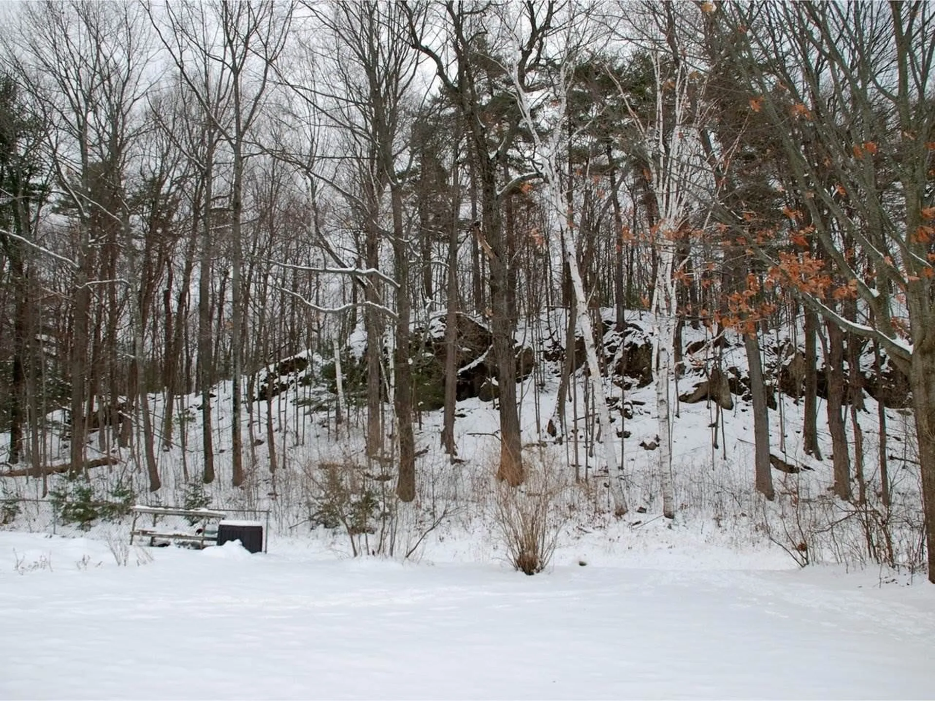 155 Killarney Drive Burlington VT 05408