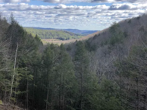67 Bugbee Road Springfield VT 05156