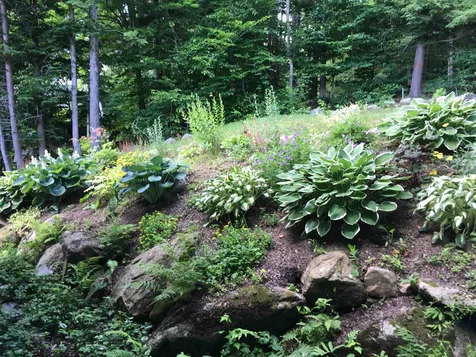 1080 Goose Pond Road Canaan NH 03741