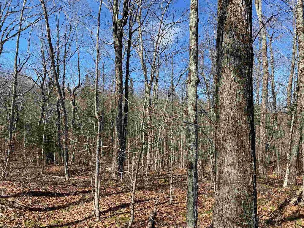 159 Alpenwald Lane Readsboro VT 05350