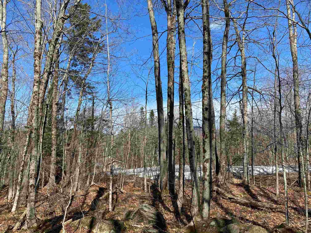 159 Alpenwald Lane Readsboro VT 05350