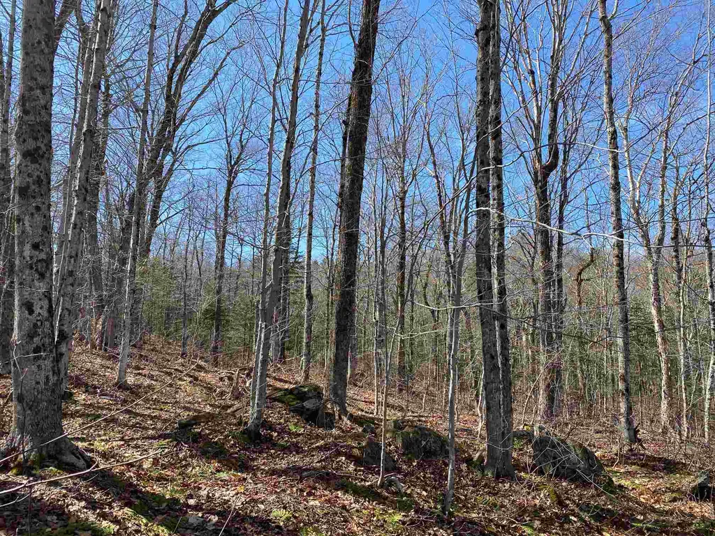 159 Alpenwald Lane Readsboro VT 05350