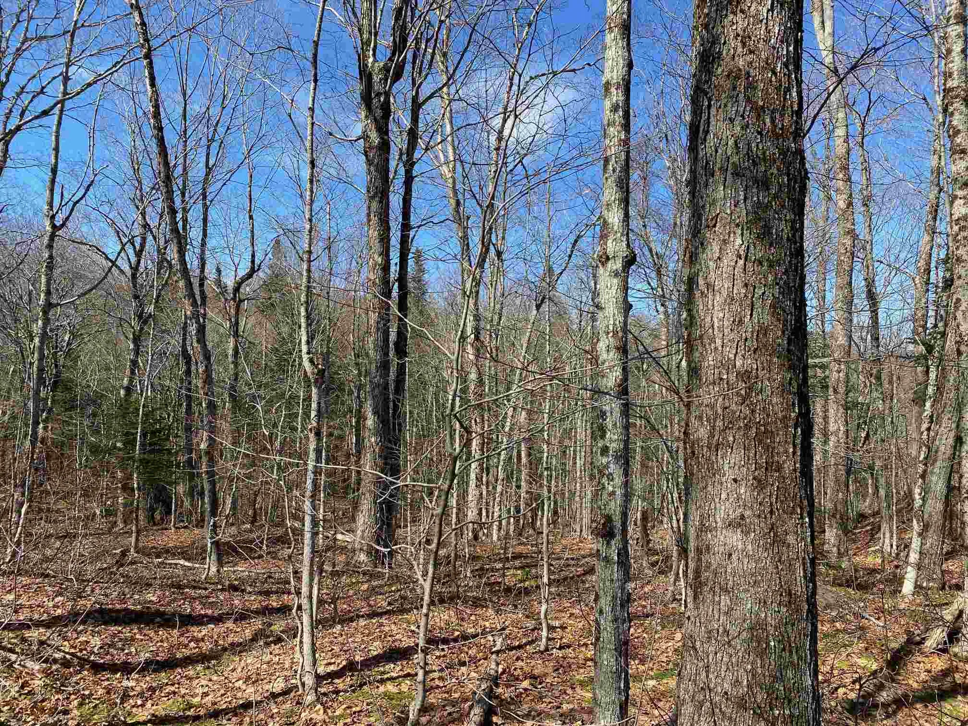 159 Alpenwald Lane Readsboro VT 05350
