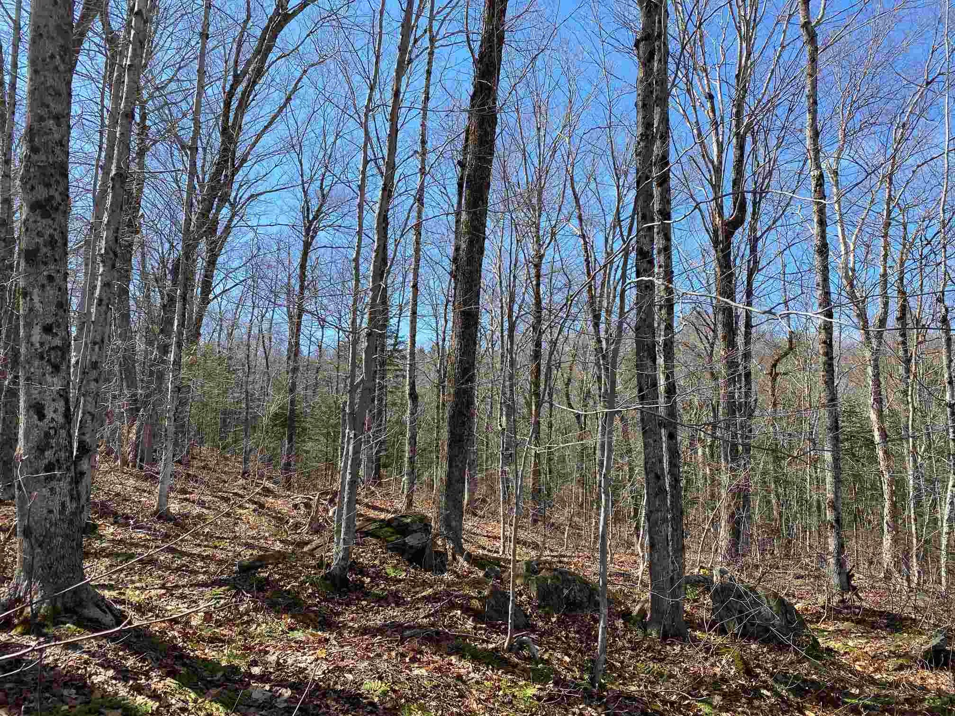 159 Alpenwald Lane Readsboro VT 05350