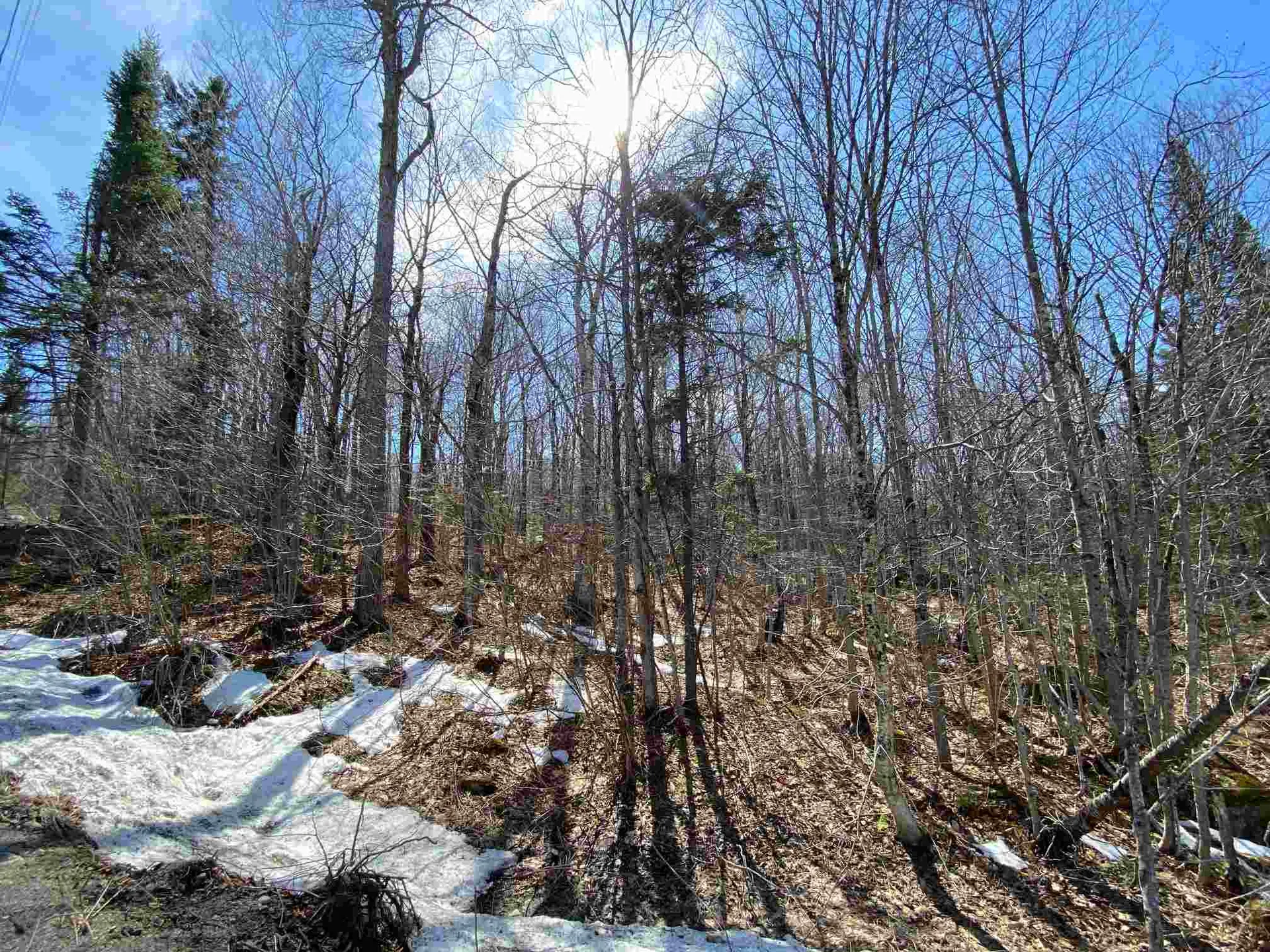 159 Alpenwald Lane Readsboro VT 05350