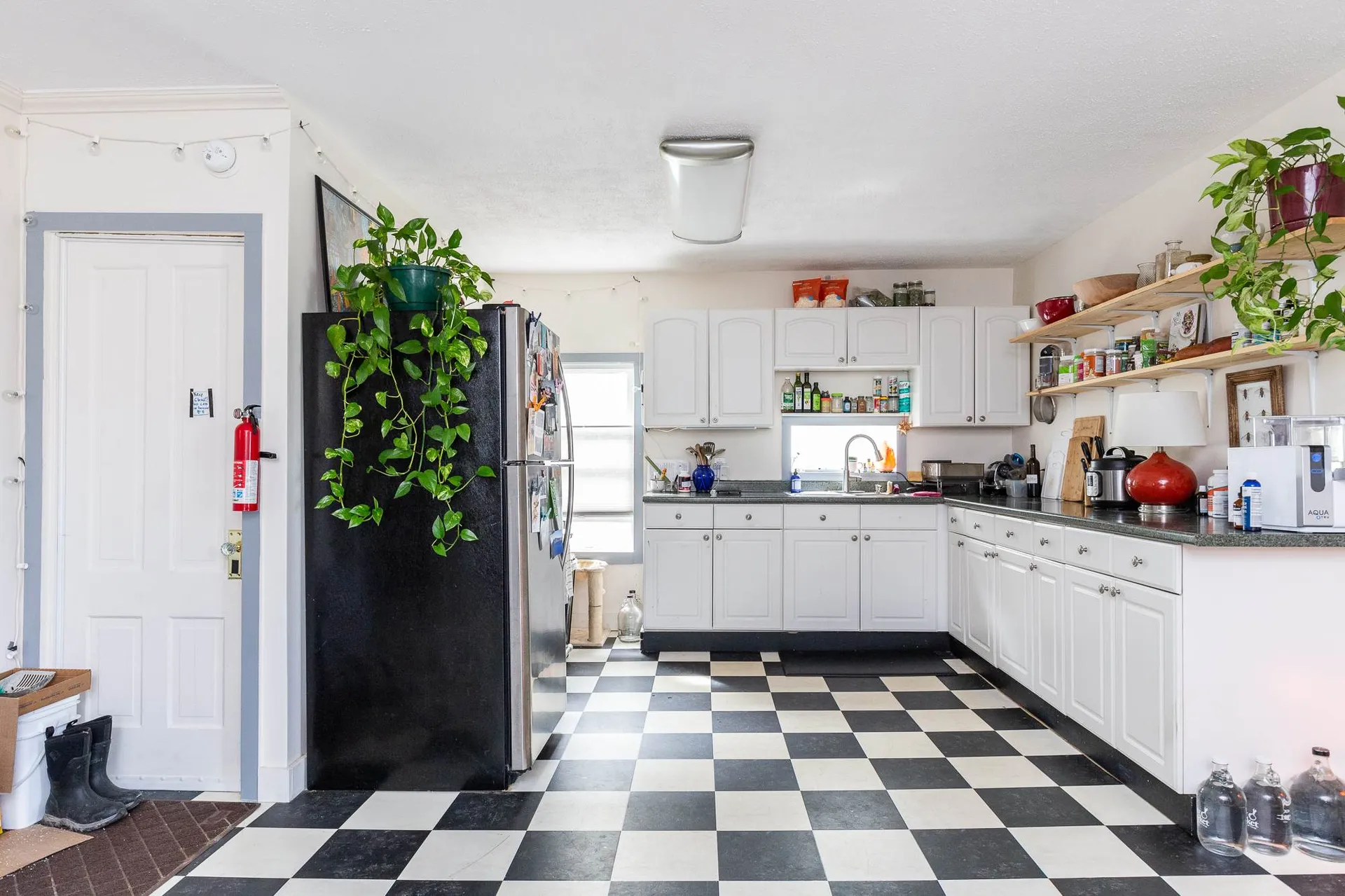 241 Elmwood Avenue Burlington VT 05401