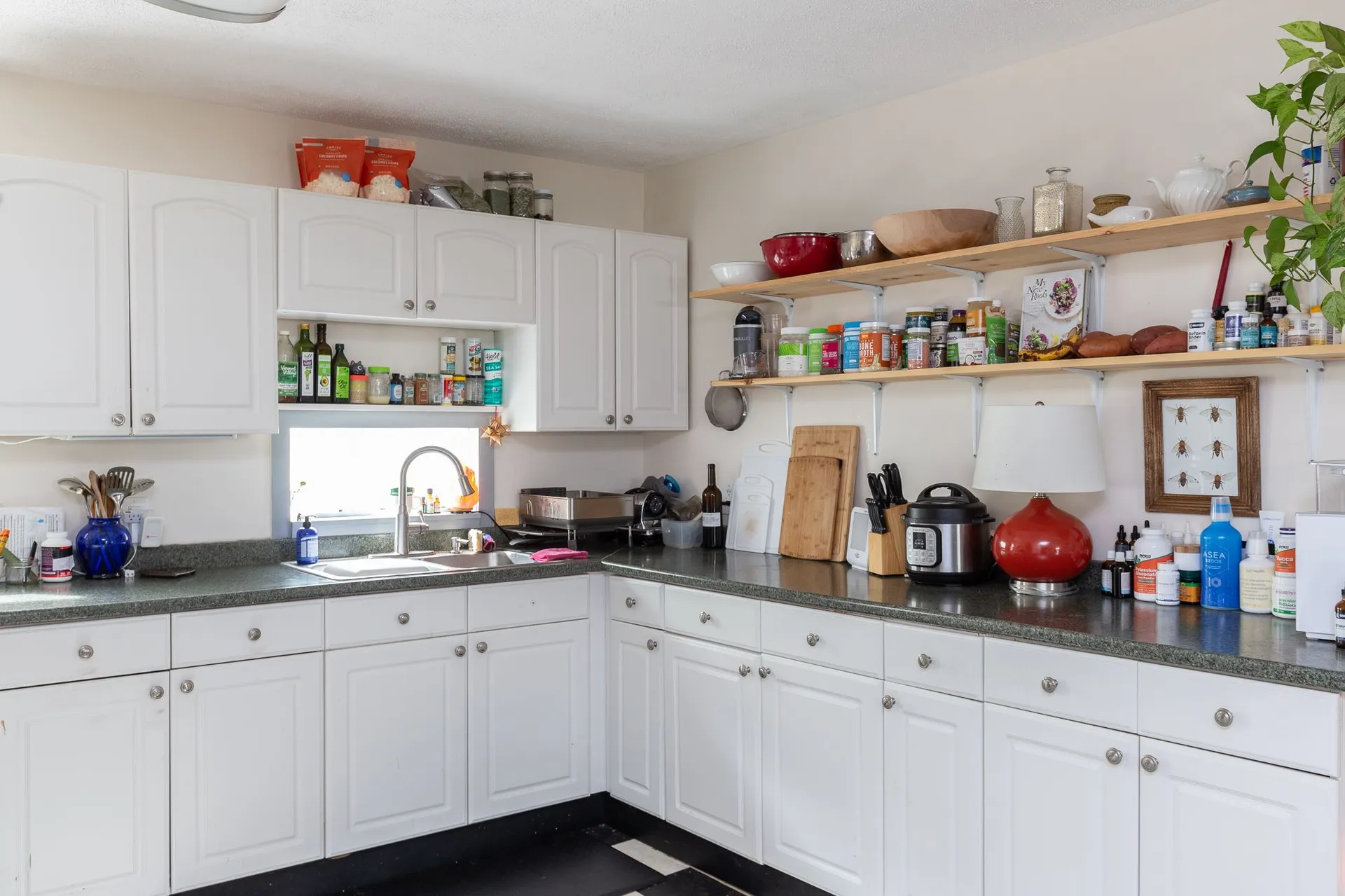 241 Elmwood Avenue Burlington VT 05401