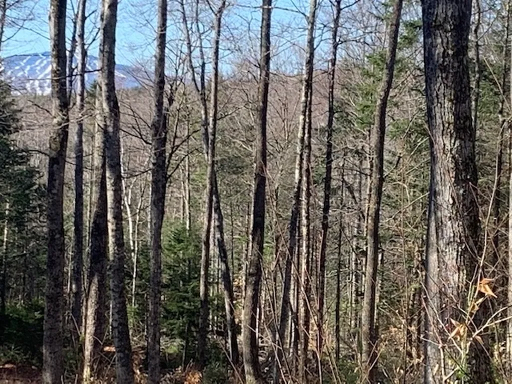 32 Old County East Road Landgrove VT 05148