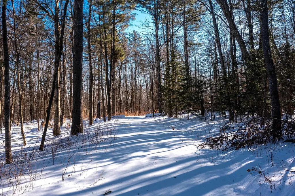32 Old County East Road Landgrove VT 05148