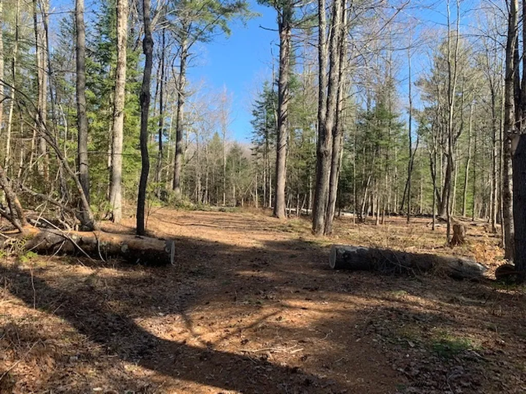 32 Old County East Road Landgrove VT 05148