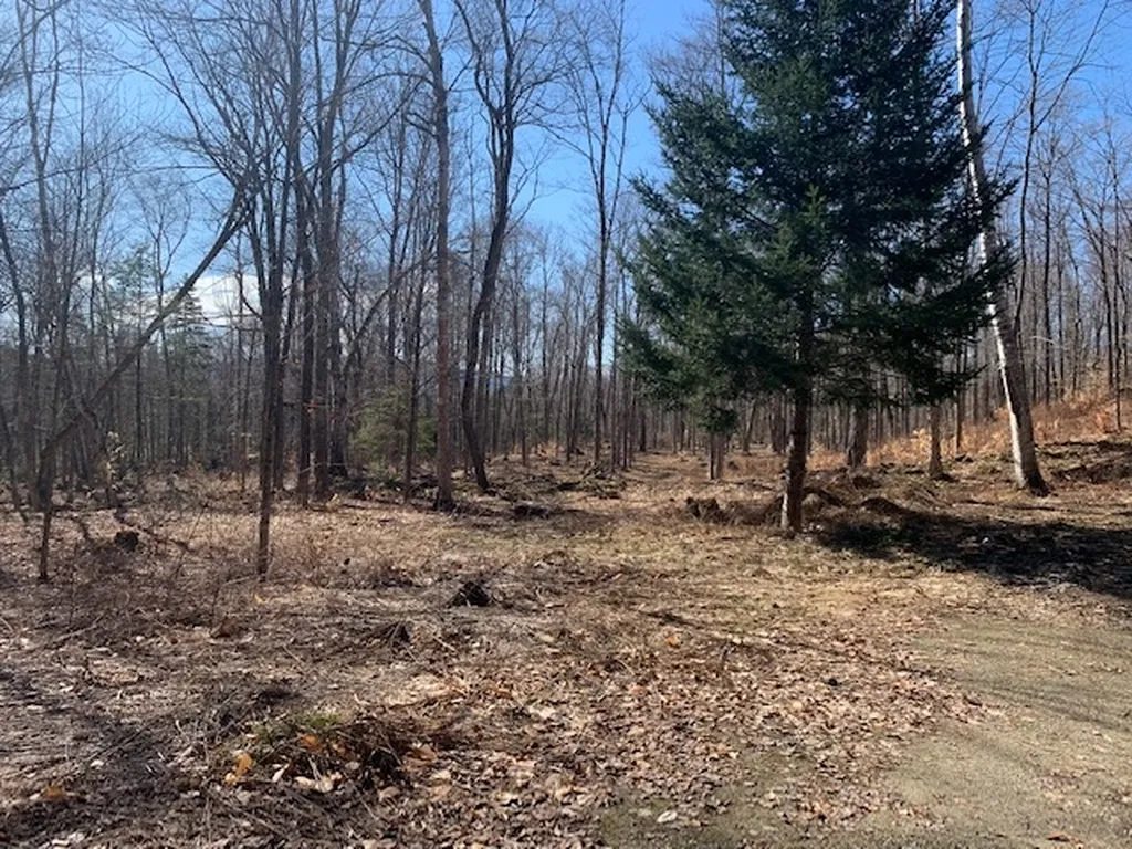 32 Old County East Road Landgrove VT 05148
