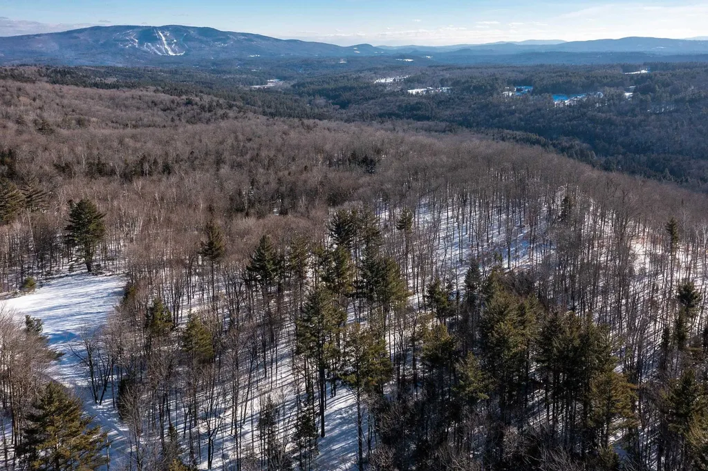 32 Old County East Road Landgrove VT 05148