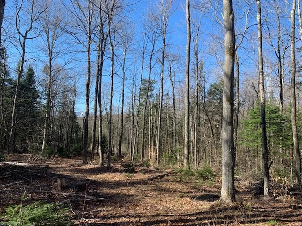 32 Old County East Road Landgrove VT 05148