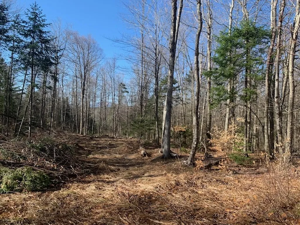 32 Old County East Road Landgrove VT 05148