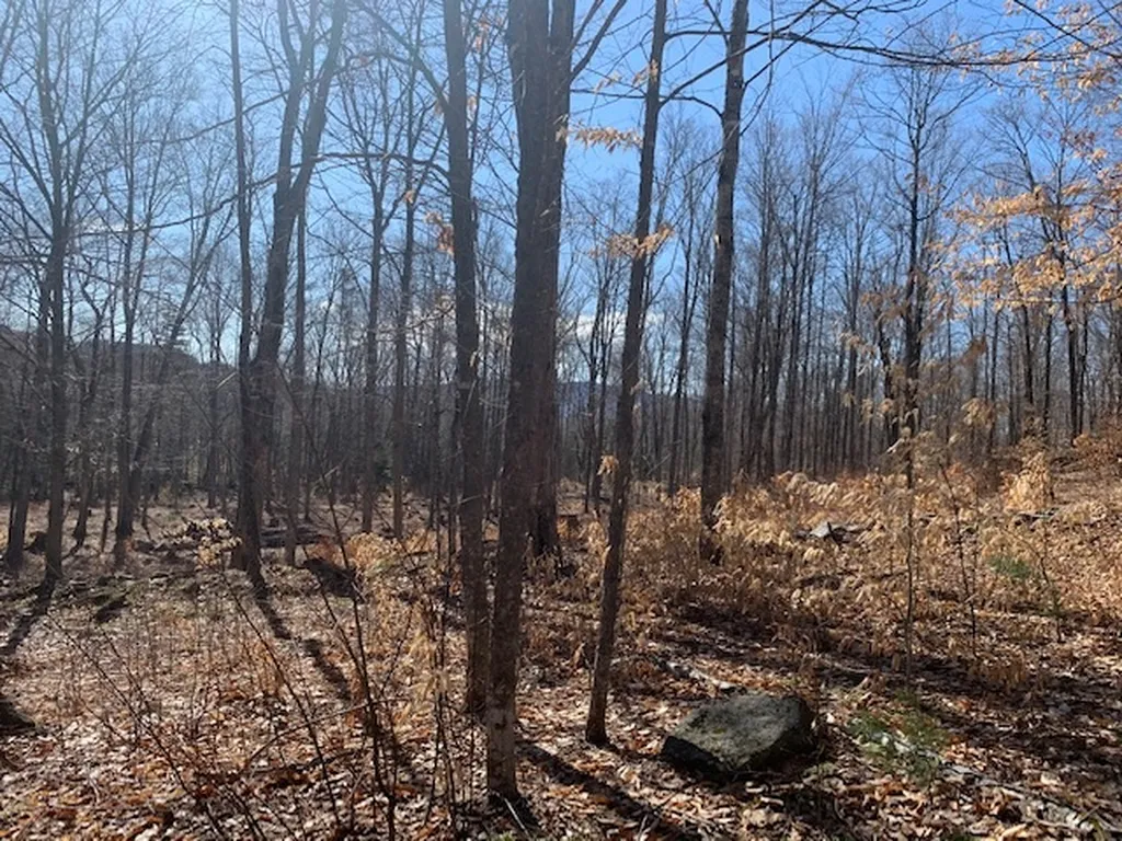 32 Old County East Road Landgrove VT 05148
