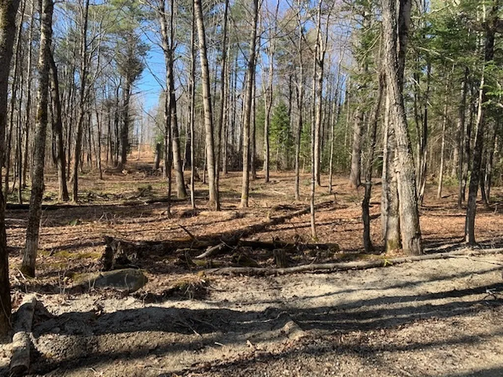 32 Old County East Road Landgrove VT 05148